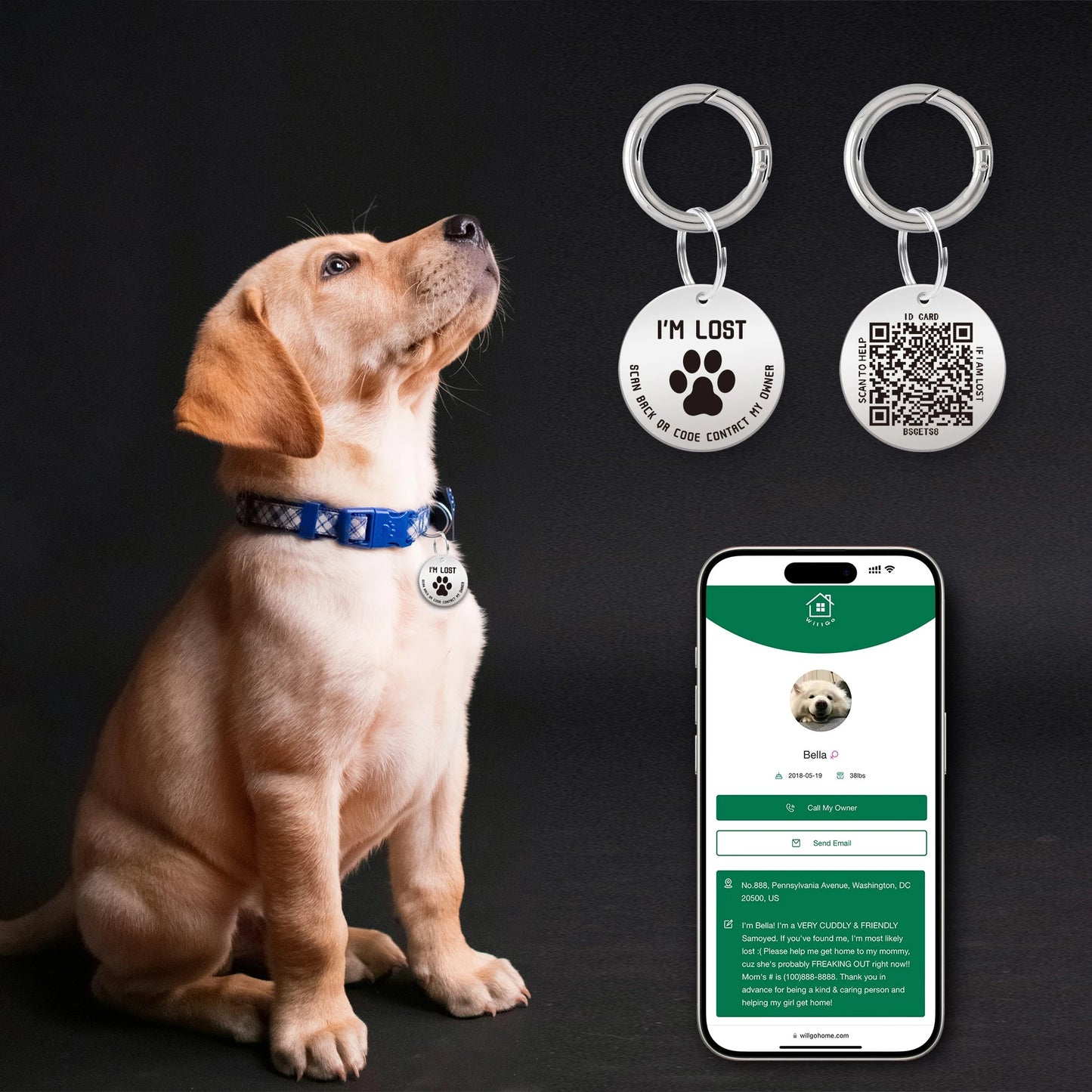 Smart Pet ID Tag with QR Code – Stainless Steel, No App or Subscription