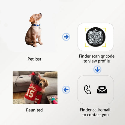 Smart Pet ID Tag with QR Code – Stainless Steel, No App or Subscription