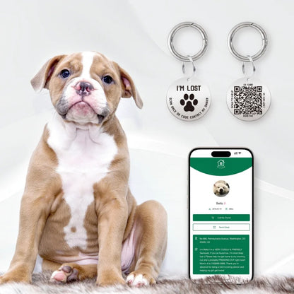 Smart Pet ID Tag with QR Code – Stainless Steel, No App or Subscription